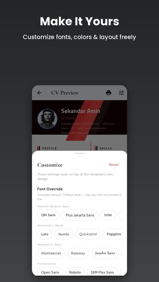 CV Spark customisation panel with font choices